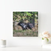 Wild Black Beer & Forest Wildlife Photo Wall Clock Vierkante Klok (Huis)