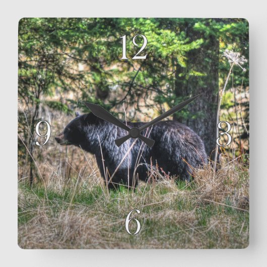 Wild Black Beer & Forest Wildlife Photo Wall Clock Vierkante Klok (Voorkant)