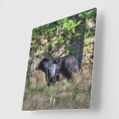Wild Black Beer & Forest Wildlife Photo Wall Clock Vierkante Klok (Hoek)