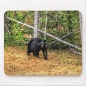 Wild Black Beer & Yukon Forest Photo Art Muismat (Voorkant)