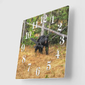 Wild Black Beer & Yukon Forest Photo Art Vierkante Klok (Hoek)