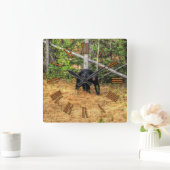 Wild Black Beer & Yukon Forest Photo Art Vierkante Klok (Huis)