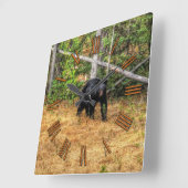 Wild Black Beer & Yukon Forest Photo Art Vierkante Klok (Hoek)