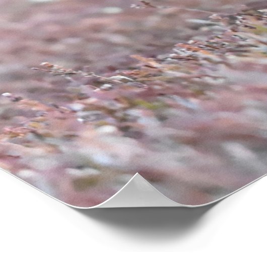 Wild Black Grouse Poster (Hoek)