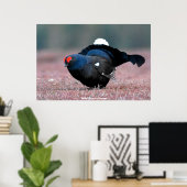 Wild Black Grouse Poster (Thuiskantoor)