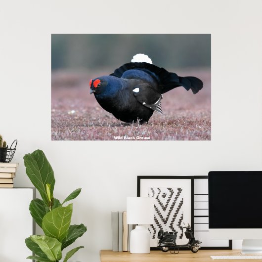 Wild Black Grouse Poster (Thuiskantoor)