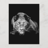 Wild Black Jaguar Cat Eyes Briefkaart (Voorkant)