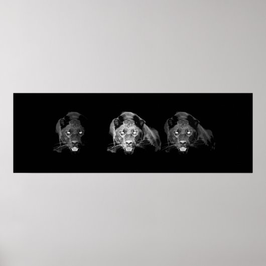 Wild Black Jaguar Cat Eyes Poster (Voorkant)
