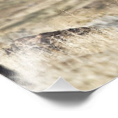 Wild Black Mustang Stallion Photo Print Foto Afdruk (Hoek)