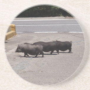 Wild Black Pigs Zandsteen Onderzetter