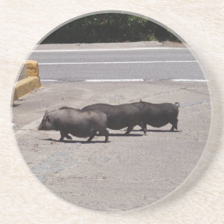Wild Black Pigs Zandsteen Onderzetter