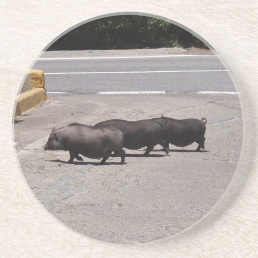 Wild Black Pigs Zandsteen Onderzetter (Voorkant)
