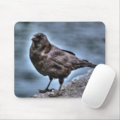 Wild Black Raven staat op Rocks Muismat (Met muis)