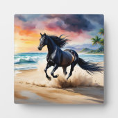 Wild black stallion galloping fotoplaat (Voorkant)