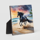 Wild black stallion galloping fotoplaat (Voorkant)