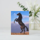 Wild Black Stallion Rearing Horse Briefkaart (Staand voorkant)