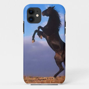 Wild Black Stallion Rearing Horse Case-Mate iPhone Case