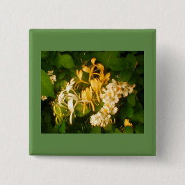 Wild Blooming Roos Honeysuckle Button