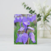 Wild Blue Flag Iris Flower Briefkaart (Staand voorkant)