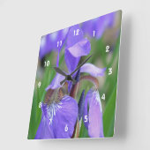 Wild Blue Flag Iris Flower Vierkante Klok (Hoek)