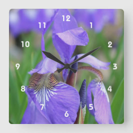 Wild Blue Flag Iris Flower Vierkante Klok