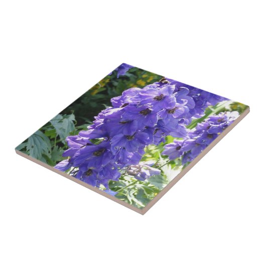 Wild Blue Foxglove Tegeltje (Zijkant)