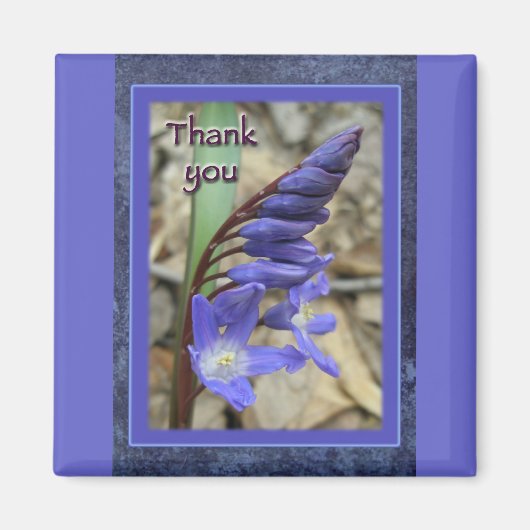 Wild Blue Hyacinth bedankt Magneet (Voorkant)