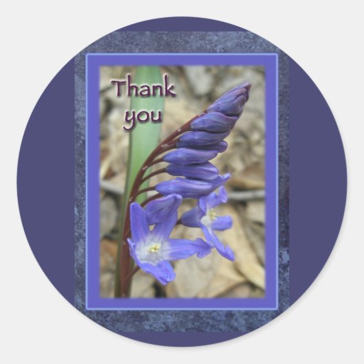 Wild Blue Hyacinth bedankt Ronde Sticker (Voorkant)