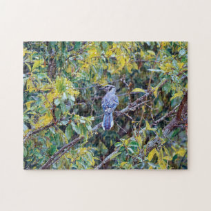 Wild Blue Jay Bird Art Puzzle Legpuzzel