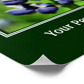 Wild Blue Lupine Flower Personalized Poster (Hoek)