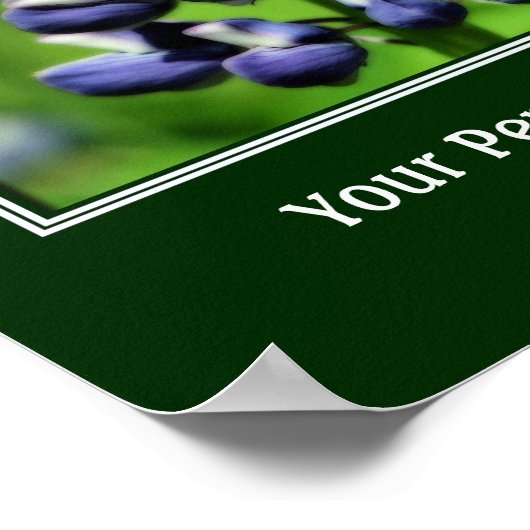 Wild Blue Lupine Flower Personalized Poster (Hoek)