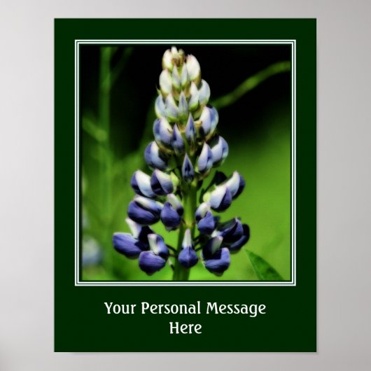 Wild Blue Lupine Flower Personalized Poster (Voorkant)