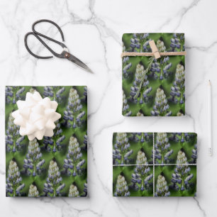 Wild Blue Lupine Flowers Natuur Patroon  Inpakpapier Vel