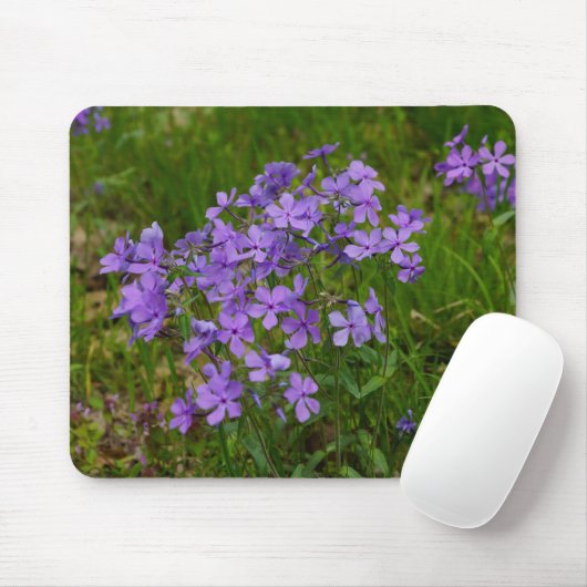 Wild Blue Phlox Muismat (Met muis)