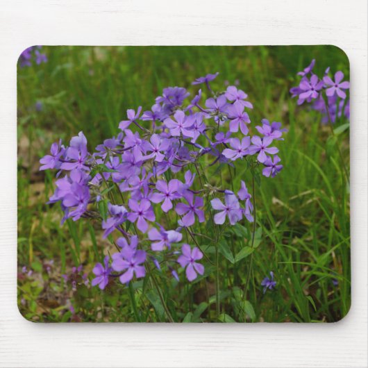 Wild Blue Phlox Muismat (Voorkant)