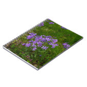 Wild Blue Phlox Notitieboek (Linkerzijde)