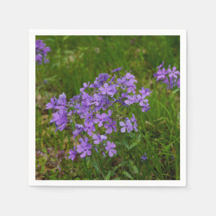 Wild Blue Phlox Servet