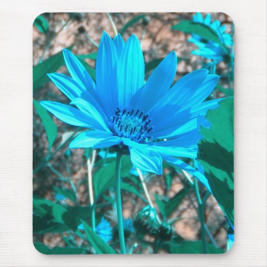 Wild Blue Sunflower Mousepad Muismat (Voorkant)