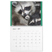 Wild Blue Yonder Raccoons van 2018 Kalender (Mar 2027)