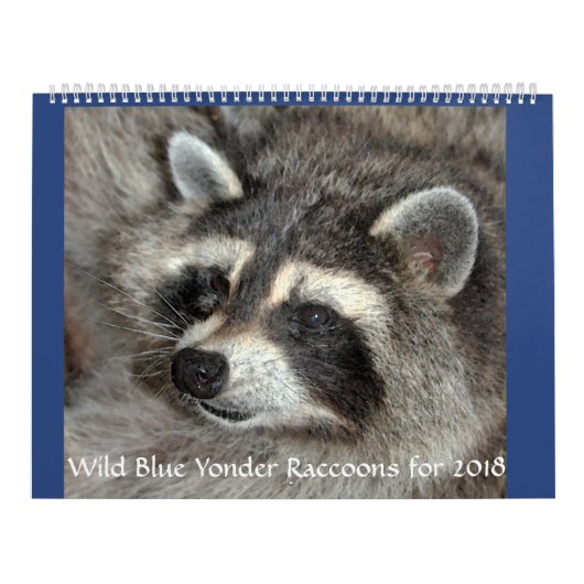 Wild Blue Yonder Raccoons van 2018 Kalender (Hoes)