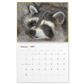 Wild Blue Yonder Raccoons van 2019 Kalender (Feb 2027)
