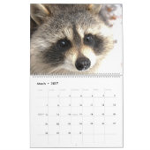 Wild Blue Yonder Raccoons van 2019 Kalender (Mar 2027)