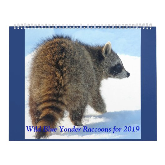 Wild Blue Yonder Raccoons van 2019 Kalender (Hoes)