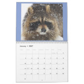 Wild Blue Yonder Raccoons van 2021 Calendar Kalender (Jan 2027)