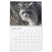 Wild Blue Yonder Raccoons van 2021 Calendar Kalender (Feb 2027)