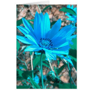 Wild Blue Zonnebloem Kaart *customize*