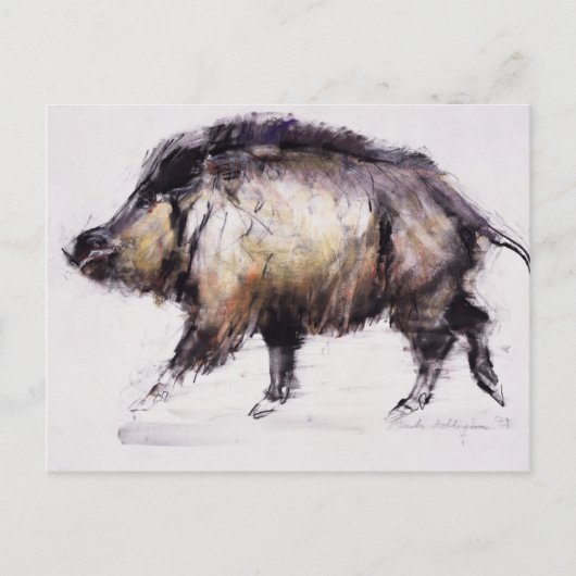 Wild Boar 1999 Briefkaart (Voorkant)
