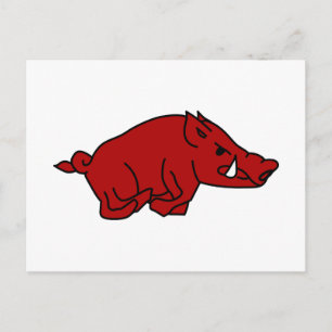 Wild Boar Briefkaart