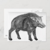 Wild Boar, defensieve Stance Briefkaart (Voorkant / Achterkant)