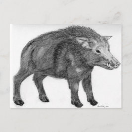 Wild Boar, defensieve Stance Briefkaart